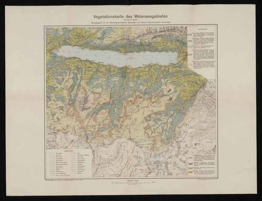 Anteprima della vecchia mappa