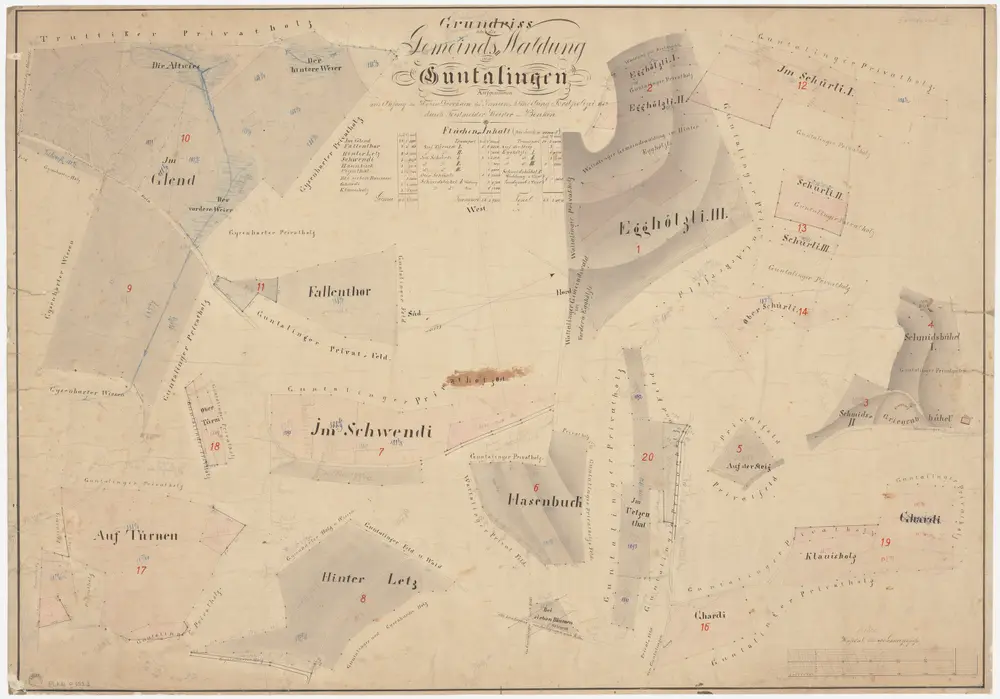 Waltalingen: Gemeindewaldung Guntalingen: Fallentor, Gländbuck (Im Glend), Hinderletz (Hinter Letz), Schwendi, Hasenbuck, Ützental (Im Uetzenthal), Bei sieben Bäumen, Chläuisholz (Klauisholz), Türnen, Schürli, Egghölzli, Steig, Staag, Schmidsbüel, Schürli, Ghardi; Grundrisse