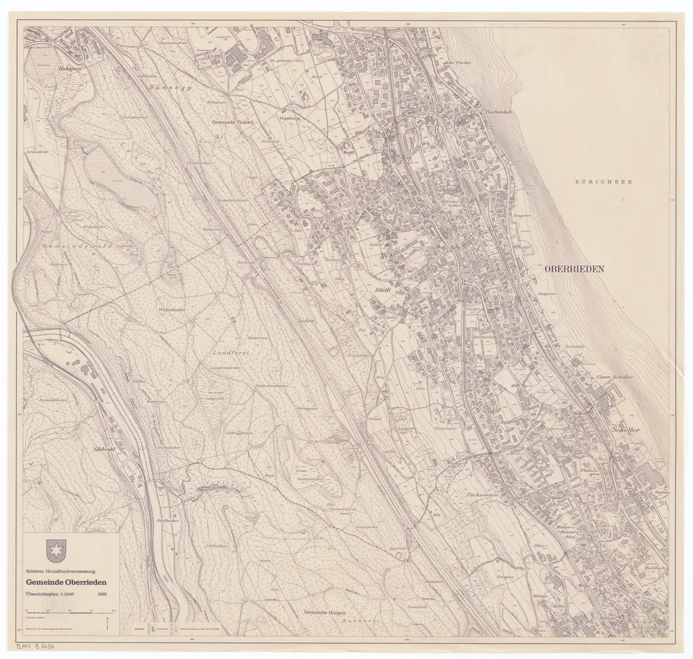 Anteprima della vecchia mappa