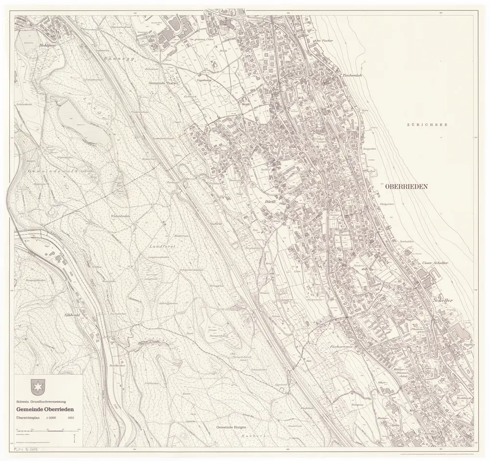 Anteprima della vecchia mappa