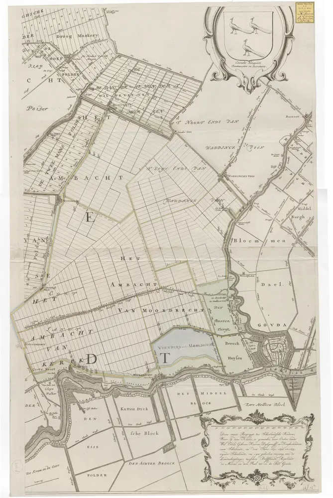 Anteprima della vecchia mappa