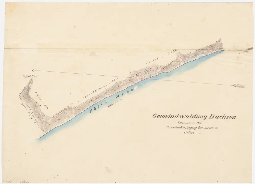 Anteprima della vecchia mappa