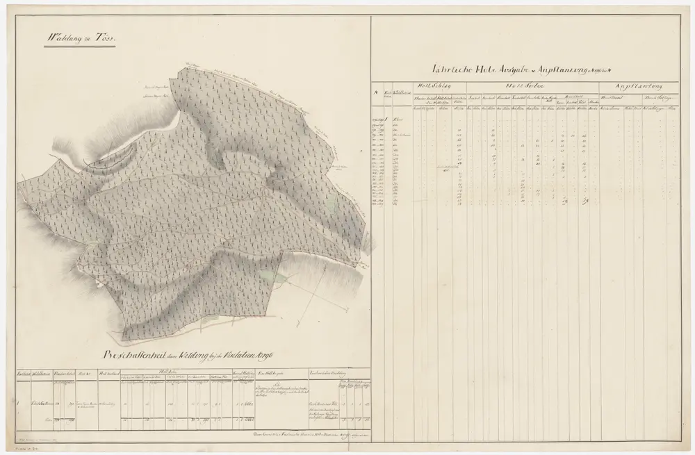 Anteprima della vecchia mappa