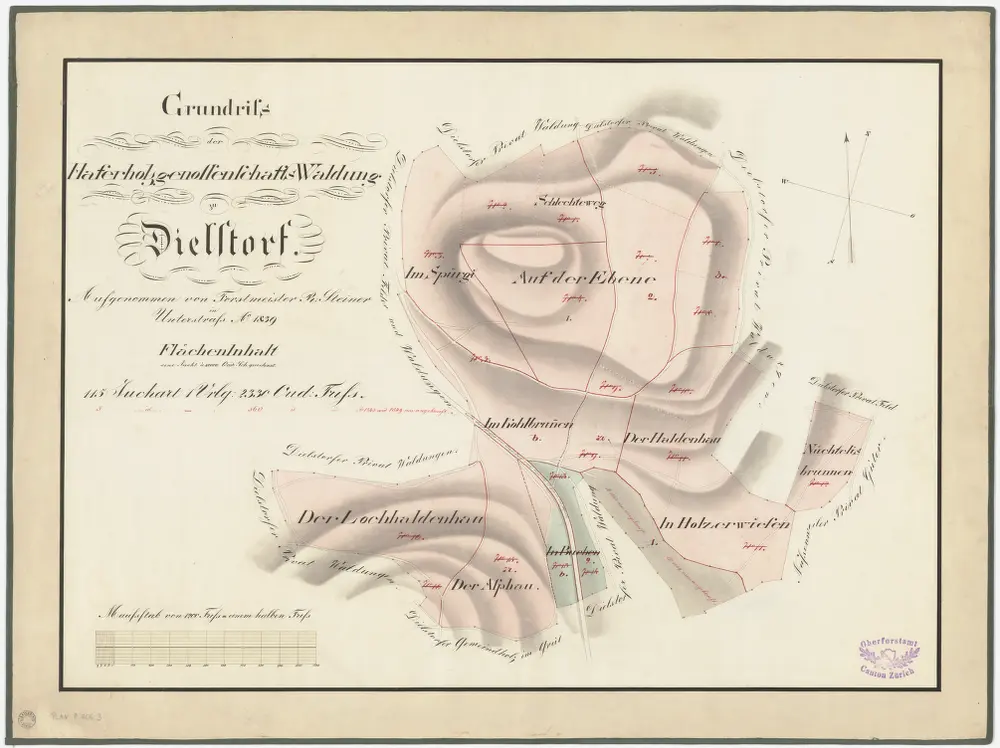 Anteprima della vecchia mappa