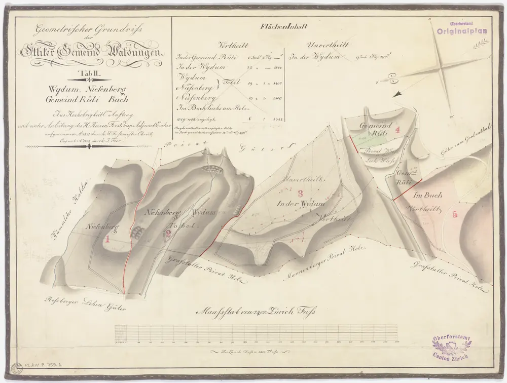 Illnau-Effretikon (damals Illnau): Gemeinde- und Genossenschaftswaldungen Ottikon: Gemeindewaldungen Widumtobel (Wydum), Niesenberg, Gemeindrüti, Buech, Lochwiese; Grundriss (Tab.II)