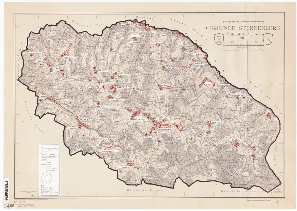 Anteprima della vecchia mappa