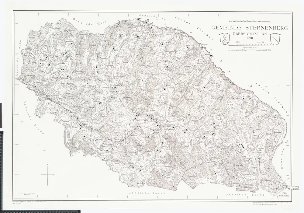 Anteprima della vecchia mappa