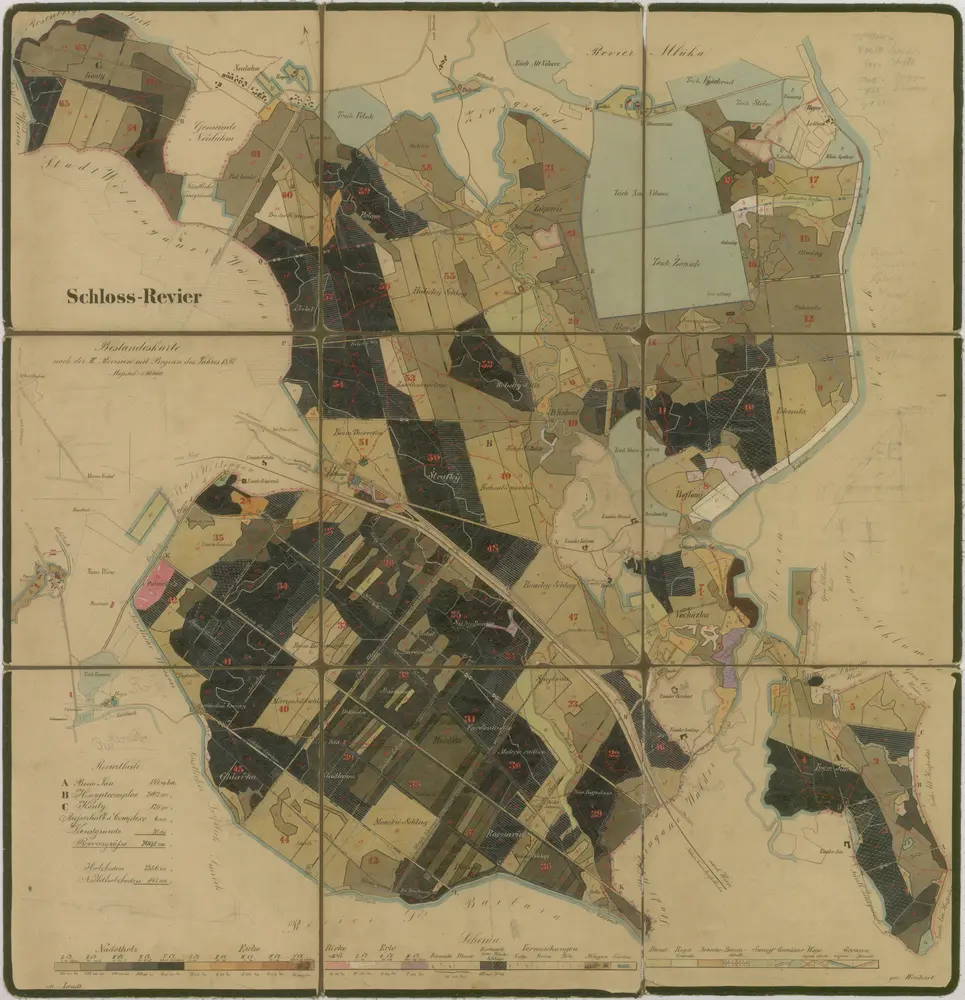 Anteprima della vecchia mappa