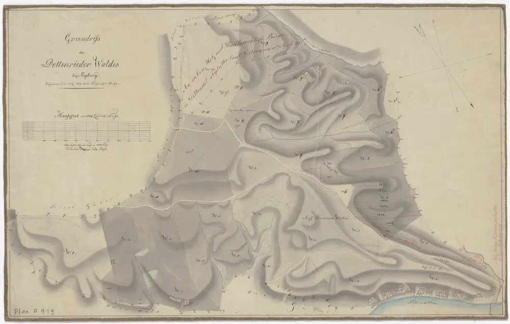 Anteprima della vecchia mappa