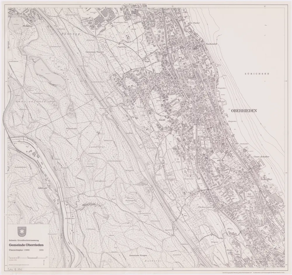 Anteprima della vecchia mappa