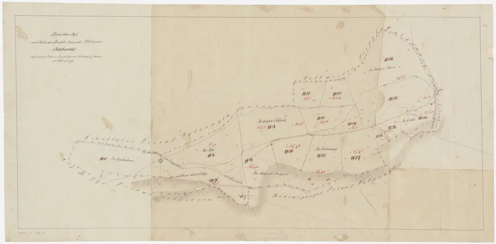 Anteprima della vecchia mappa