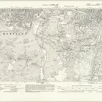 Anteprima della vecchia mappa