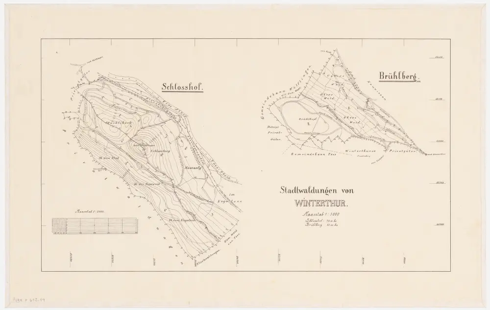 Anteprima della vecchia mappa