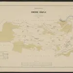 Anteprima della vecchia mappa