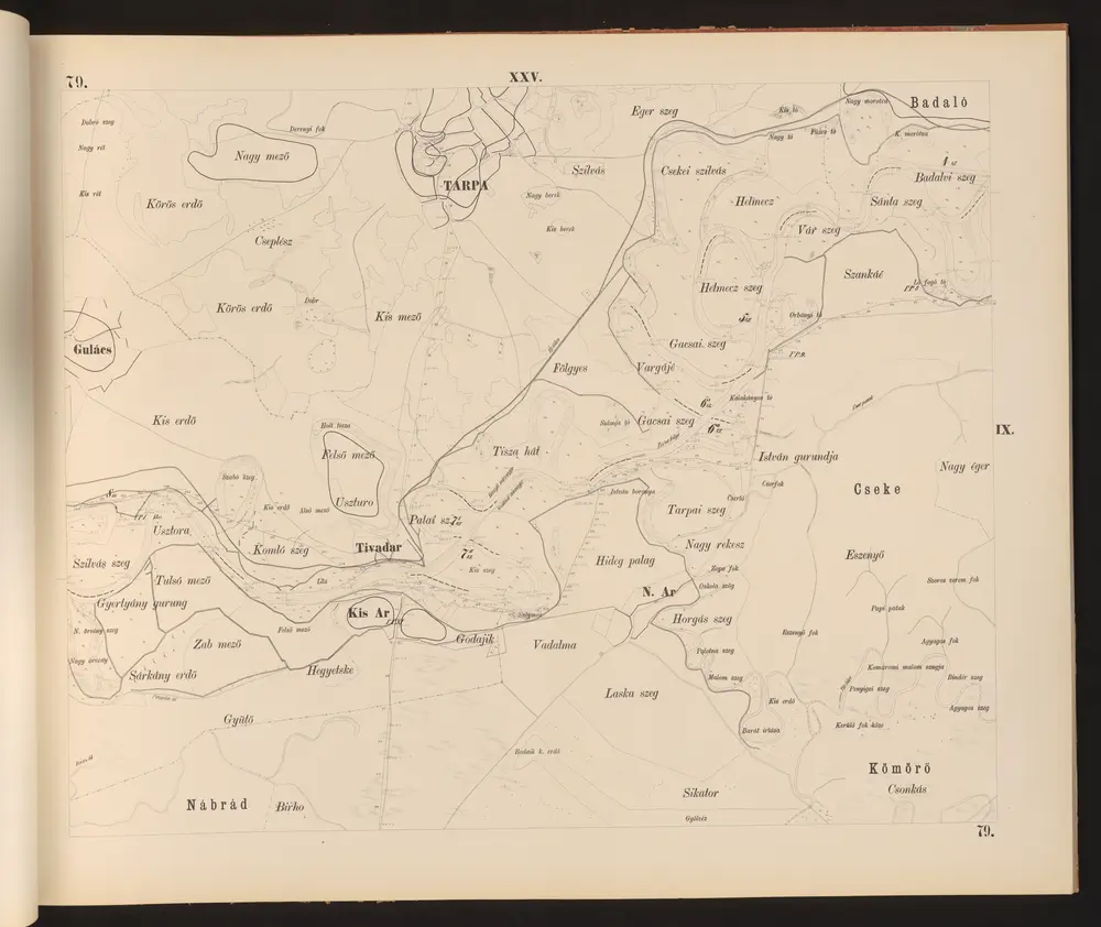 Anteprima della vecchia mappa