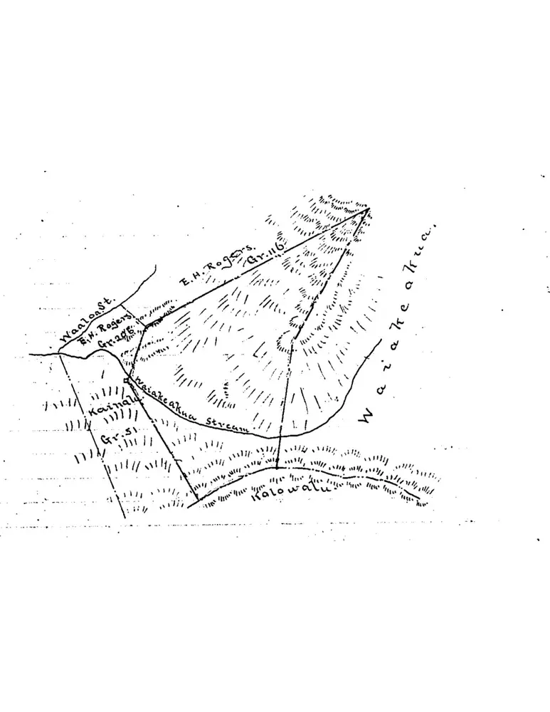 Anteprima della vecchia mappa