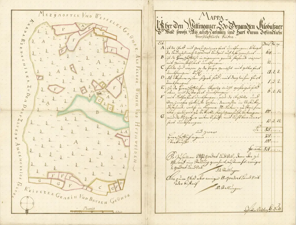 Anteprima della vecchia mappa