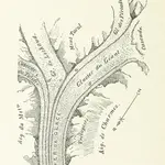 Anteprima della vecchia mappa