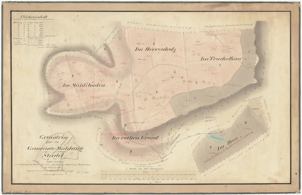 Anteprima della vecchia mappa