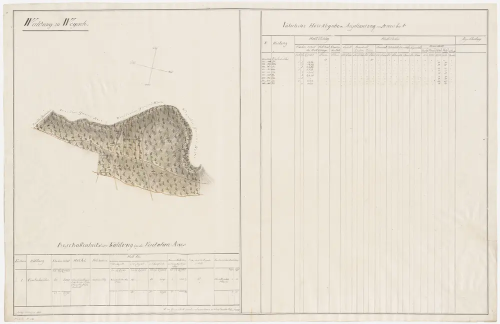 Anteprima della vecchia mappa