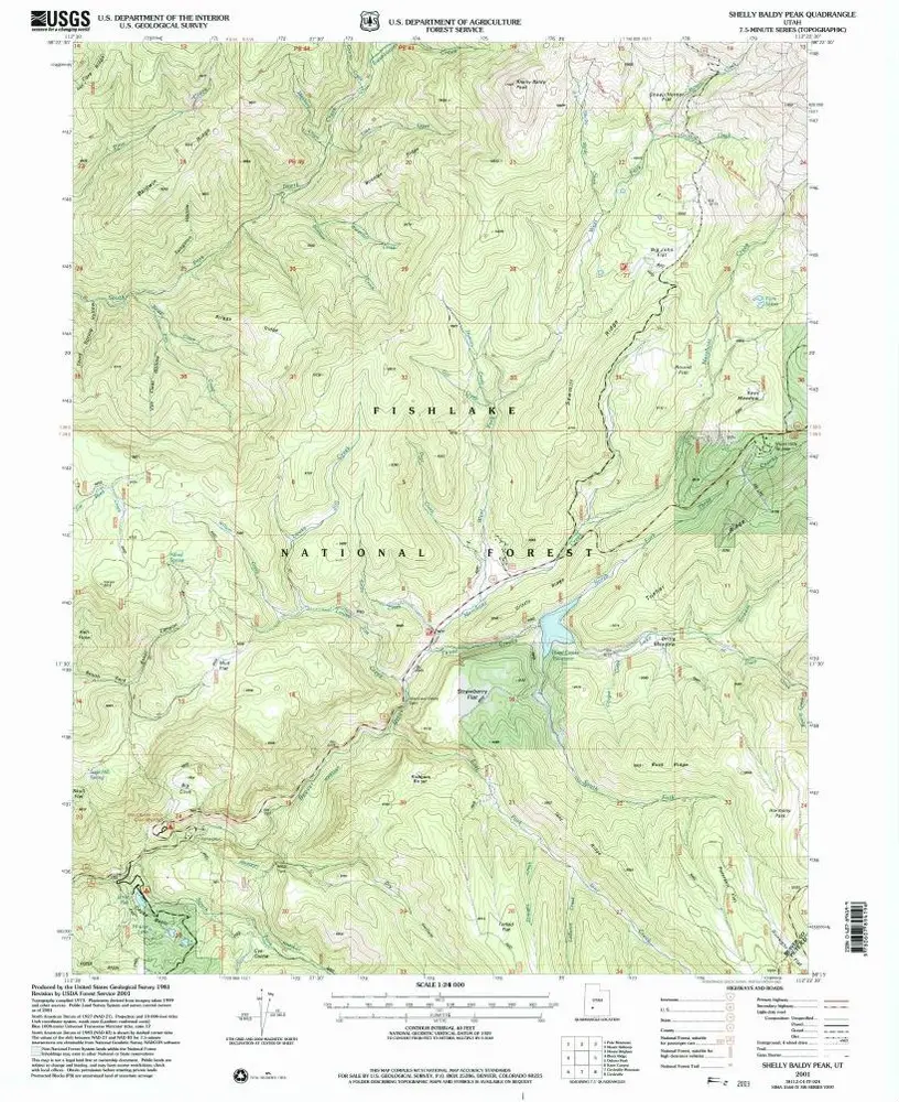 Anteprima della vecchia mappa